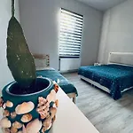 Serbian House 3*