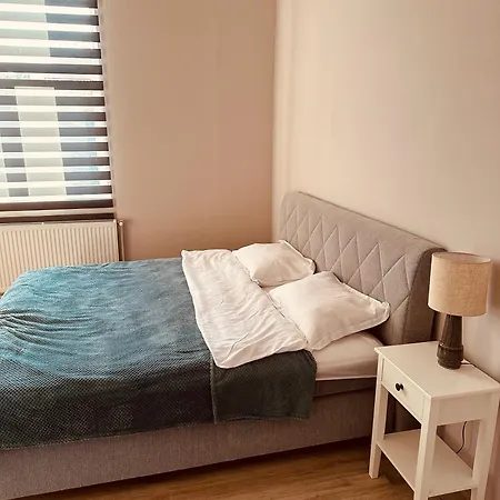 Serbian House 3* טימישוארה