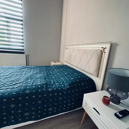 Serbian House 3* טימישוארה