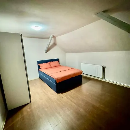 לינה וארוחת בוקר Serbian House טימישוארה