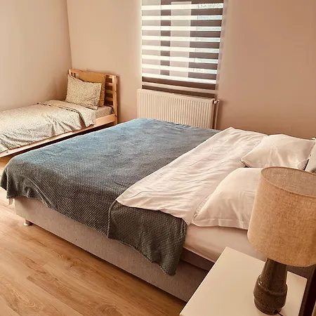 לינה וארוחת בוקר Serbian House 3*