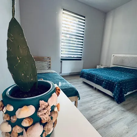 Serbian House 3*