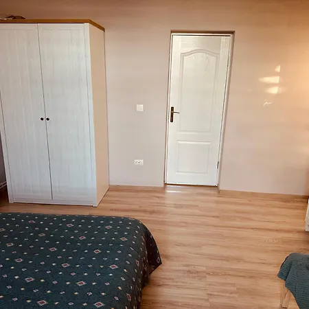 Serbian House 3* טימישוארה