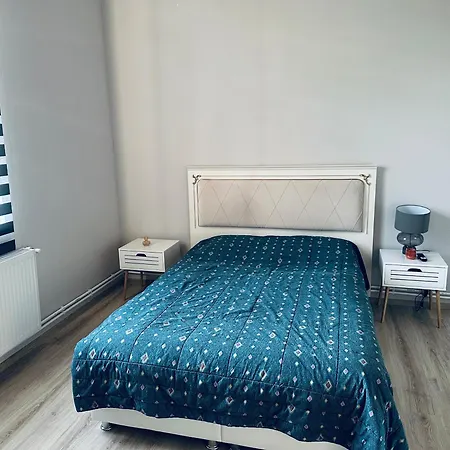 Serbian House Bed & Breakfast Timisoara