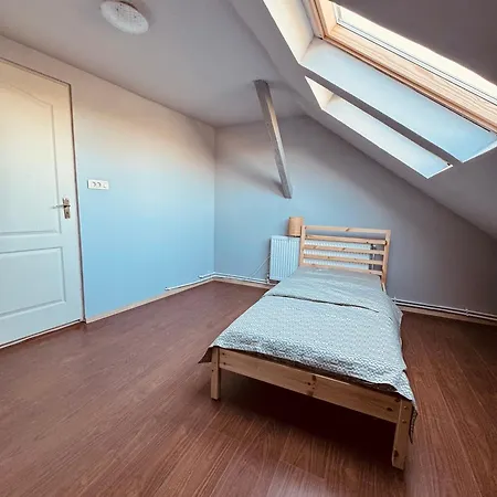 לינה וארוחת בוקר Serbian House טימישוארה