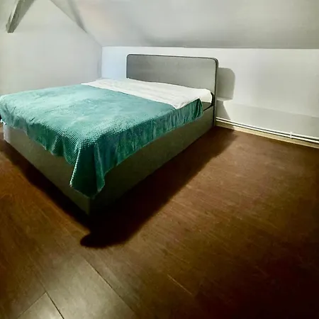 Serbian House 3* טימישוארה
