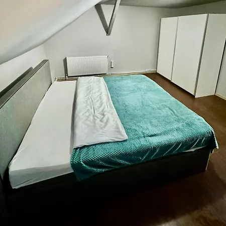 Serbian House 3* טימישוארה