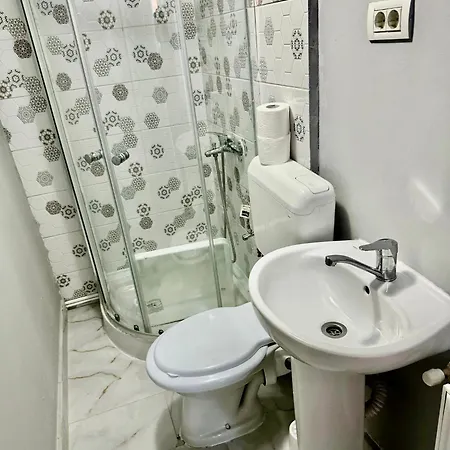 Serbian House 3* Timisoara