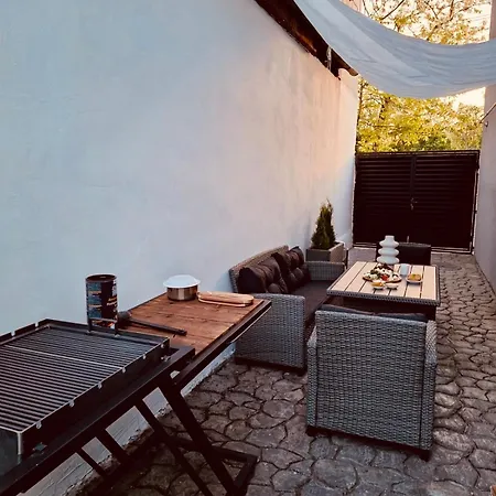 Serbian House 3* טימישוארה