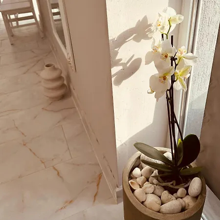 לינה וארוחת בוקר Serbian House