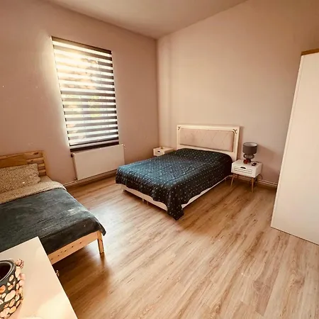 Serbian House לינה וארוחת בוקר טימישוארה