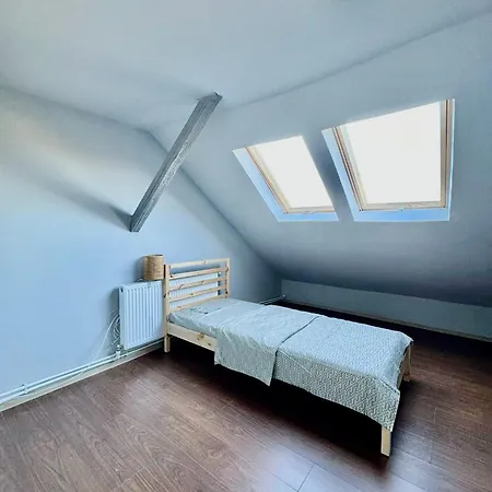 לינה וארוחת בוקר Serbian House טימישוארה