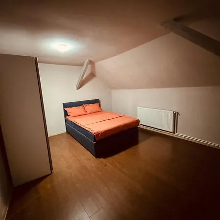 לינה וארוחת בוקר Serbian House