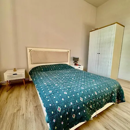 לינה וארוחת בוקר Serbian House טימישוארה