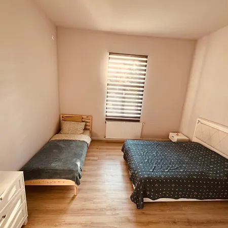 Serbian House 3* טימישוארה