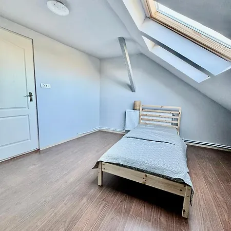 לינה וארוחת בוקר Serbian House טימישוארה