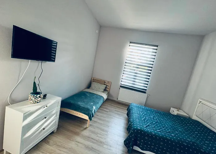 Serbian House 3* טימישוארה