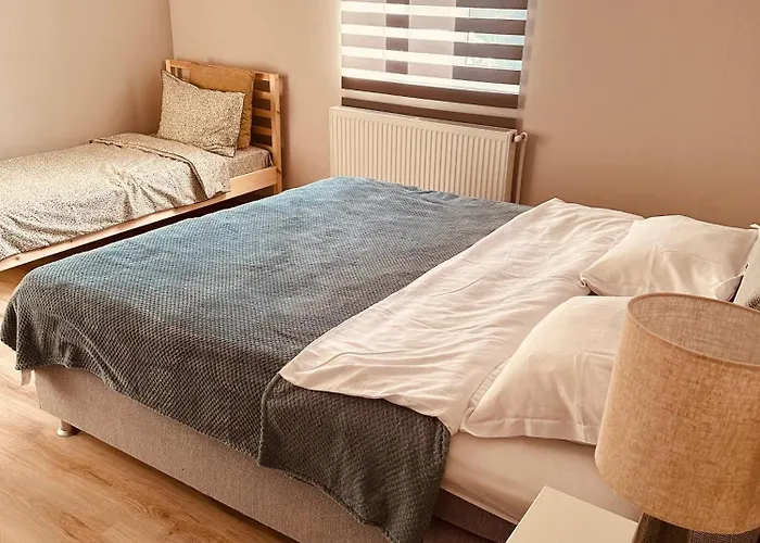 לינה וארוחת בוקר Serbian House 3*