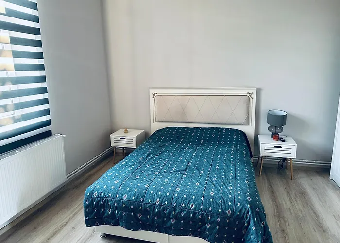 Serbian House לינה וארוחת בוקר טימישוארה