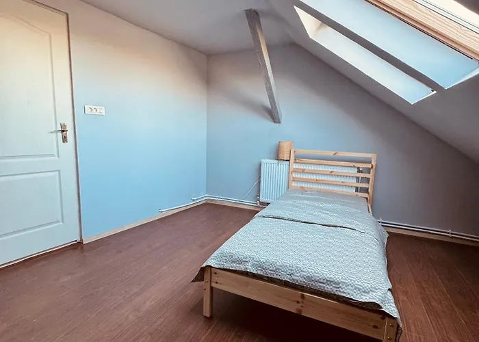 לינה וארוחת בוקר Serbian House טימישוארה