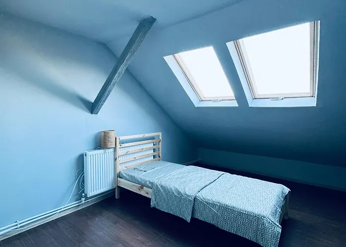 לינה וארוחת בוקר Serbian House