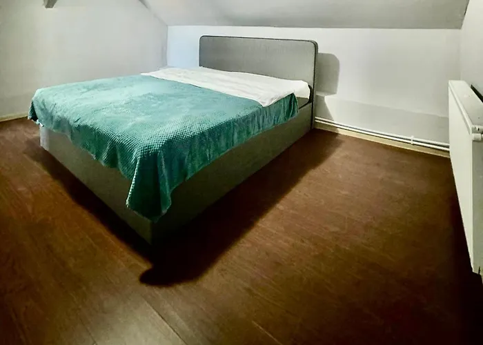 Serbian House 3* טימישוארה