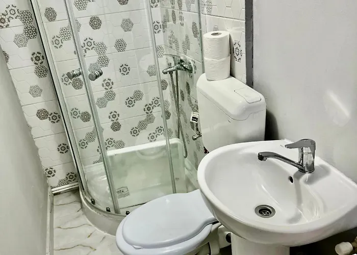 Serbian House 3* טימישוארה