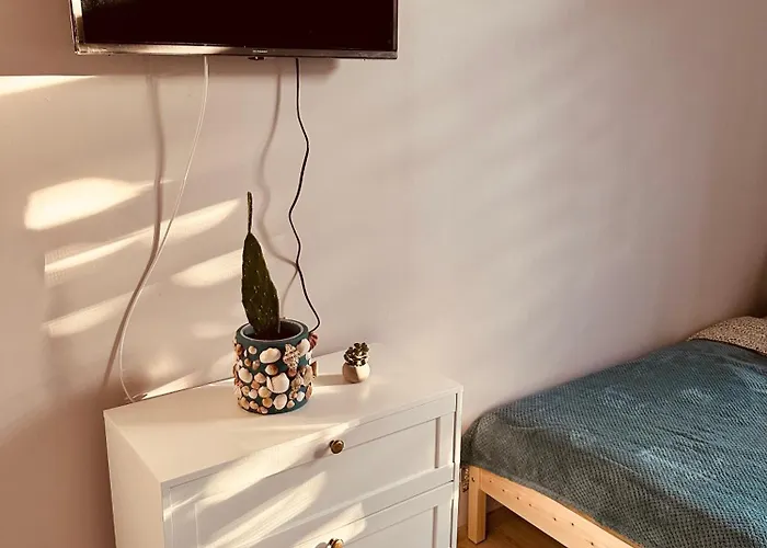 לינה וארוחת בוקר Serbian House 3*