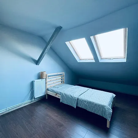 Bed and Breakfast Serbian House