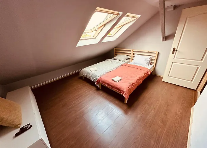 Serbian House Timişoara