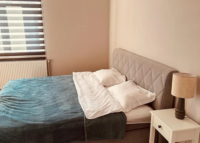 Serbian House 3* Timişoara