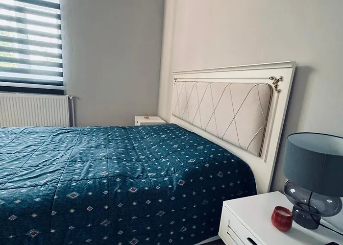 Serbian House 3* Timişoara