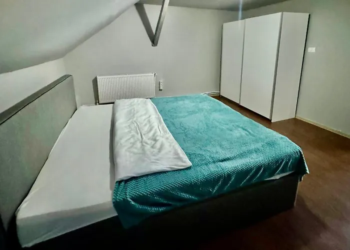 Serbian House Bed & Breakfast Timişoara