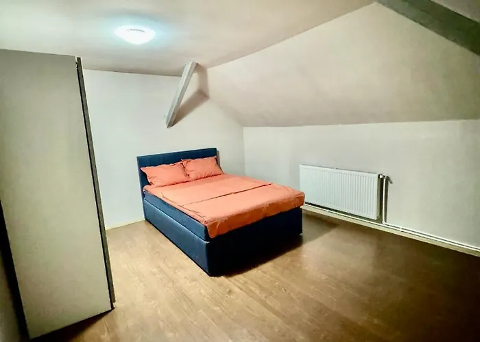 Bed & Breakfast Serbian House Timişoara