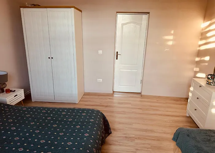 Serbian House 3* Timişoara