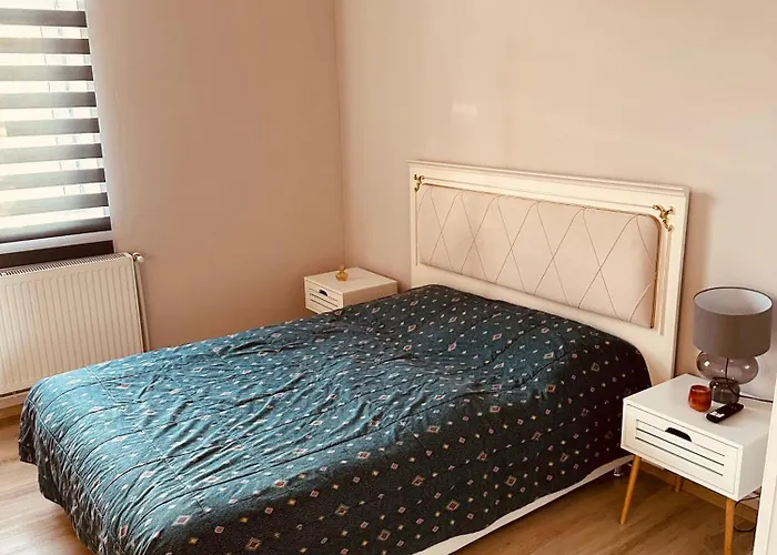 Serbian House Timişoara