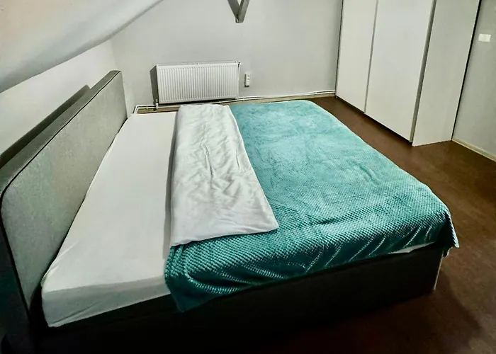 Serbian House 3* Timişoara