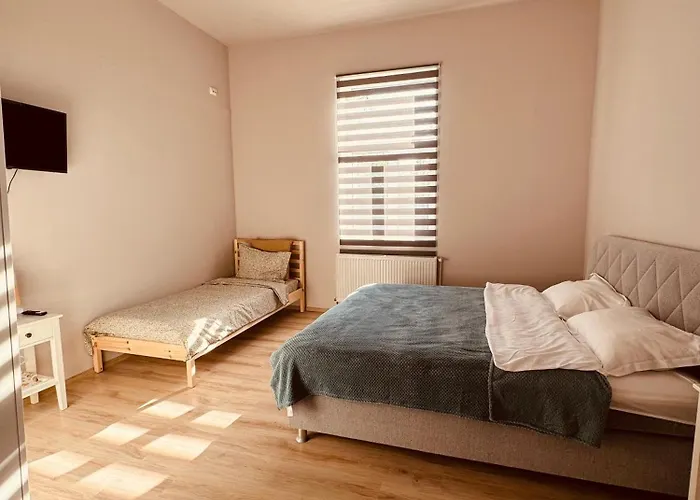 Serbian House Timişoara